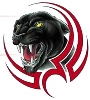 NLA Panthers